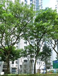 Blk 2A Kallang Heights (Kallang/Whampoa), HDB 4 Rooms #530141991